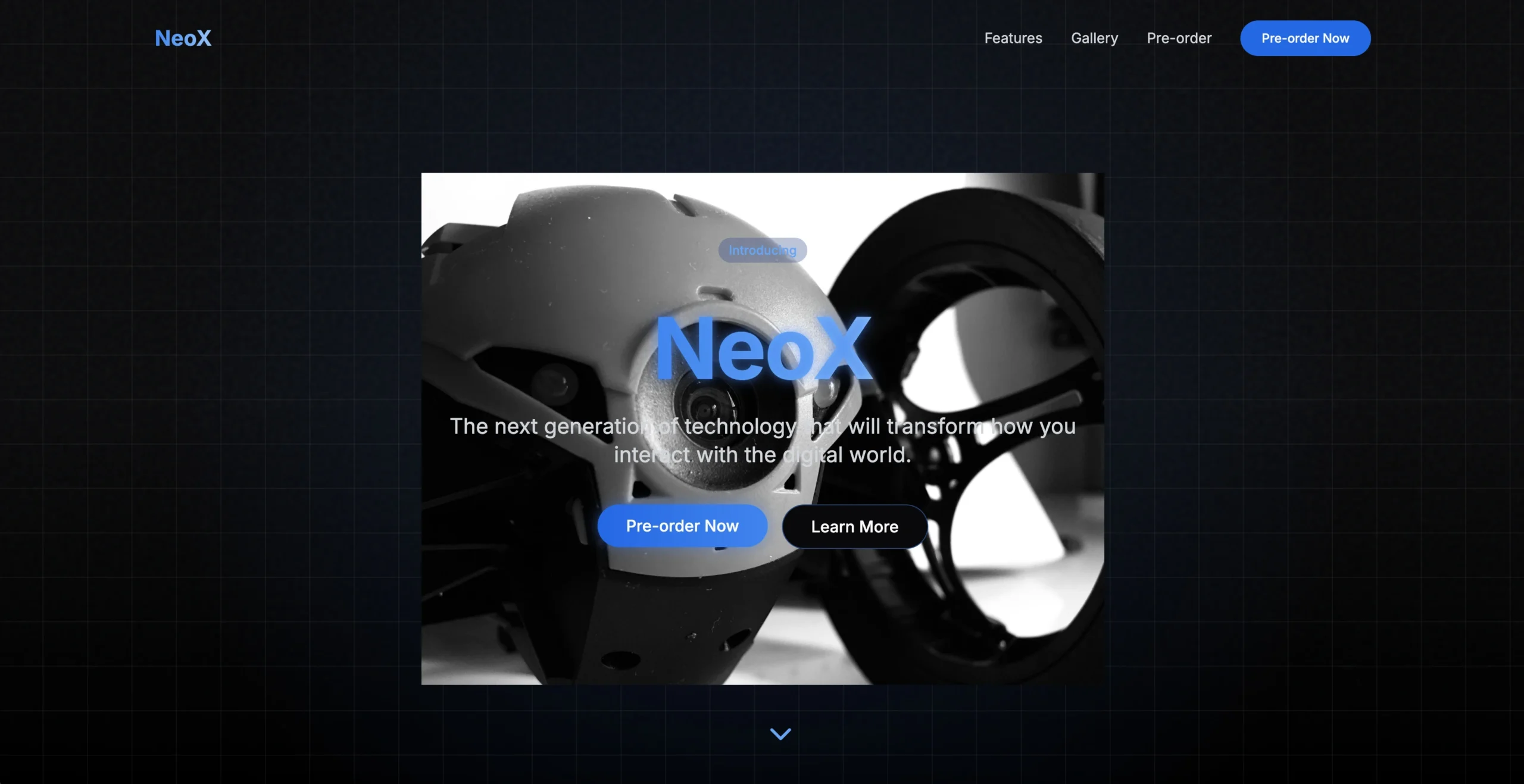 NEOX